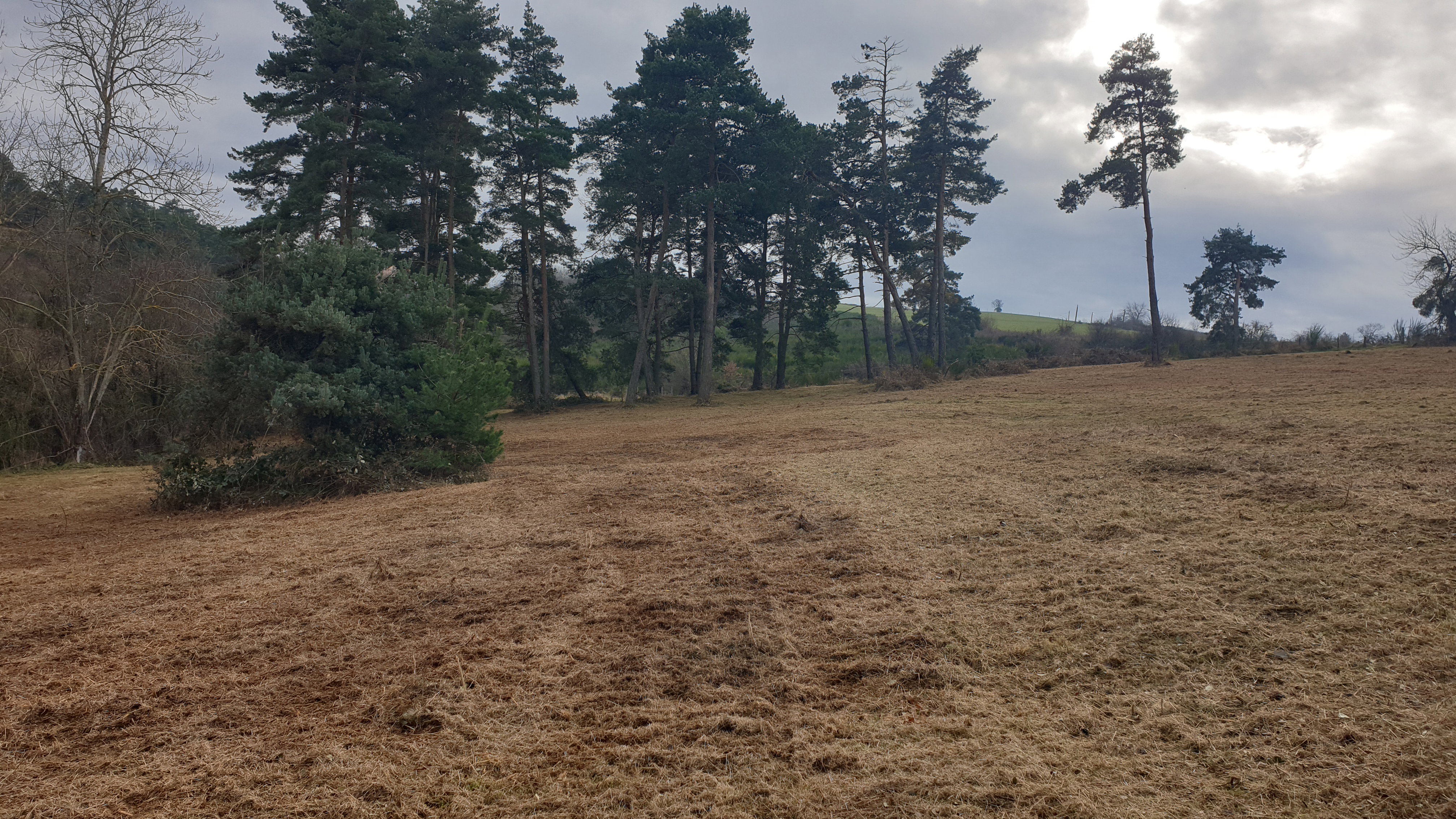 Plot 1 after