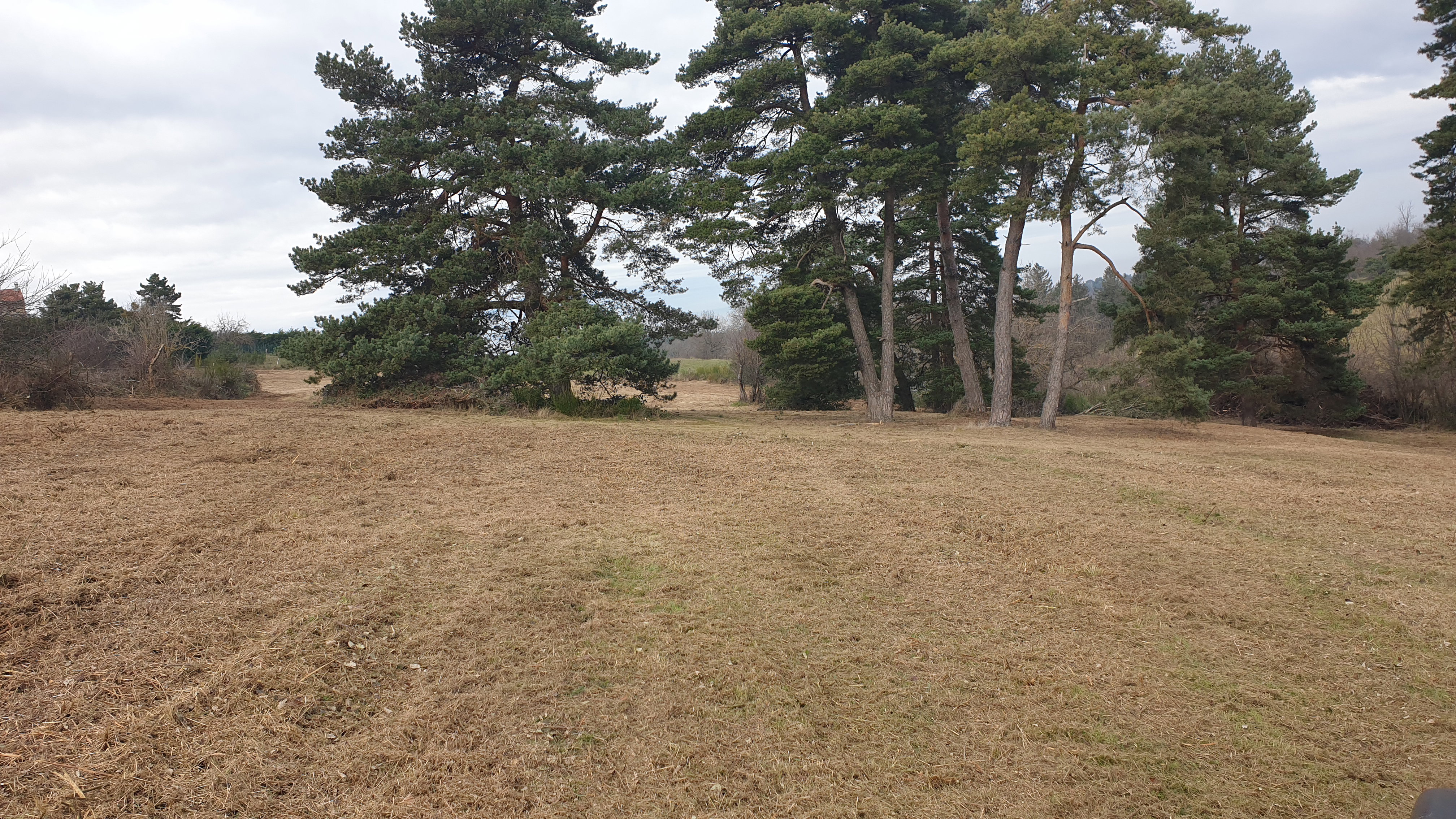 Plot 1 after