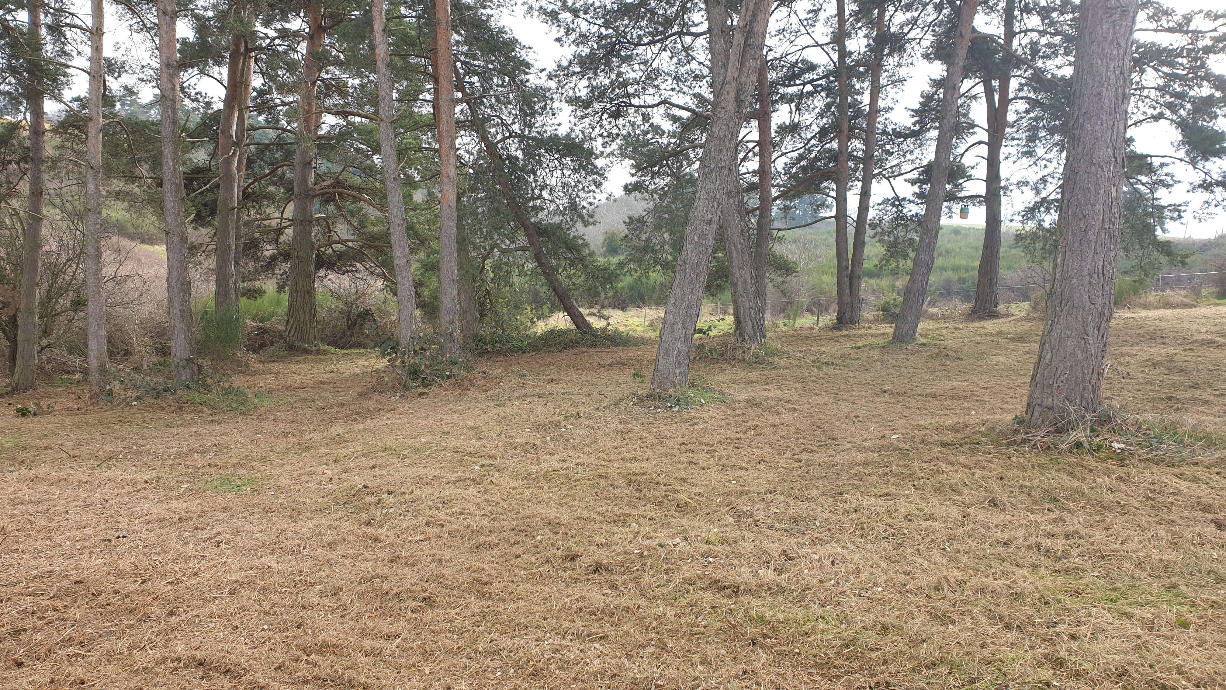 Plot 1 after