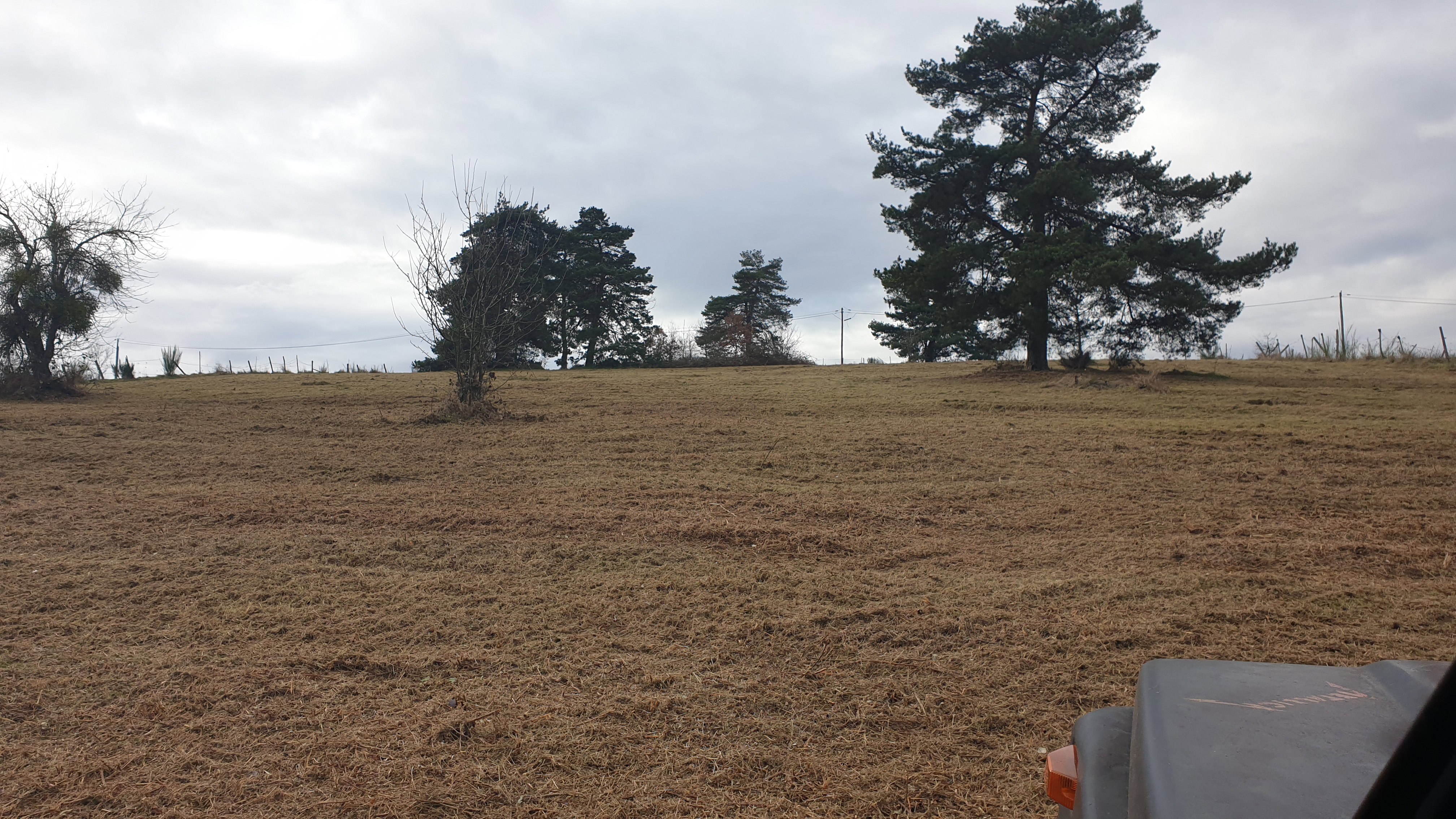 Plot 1 after