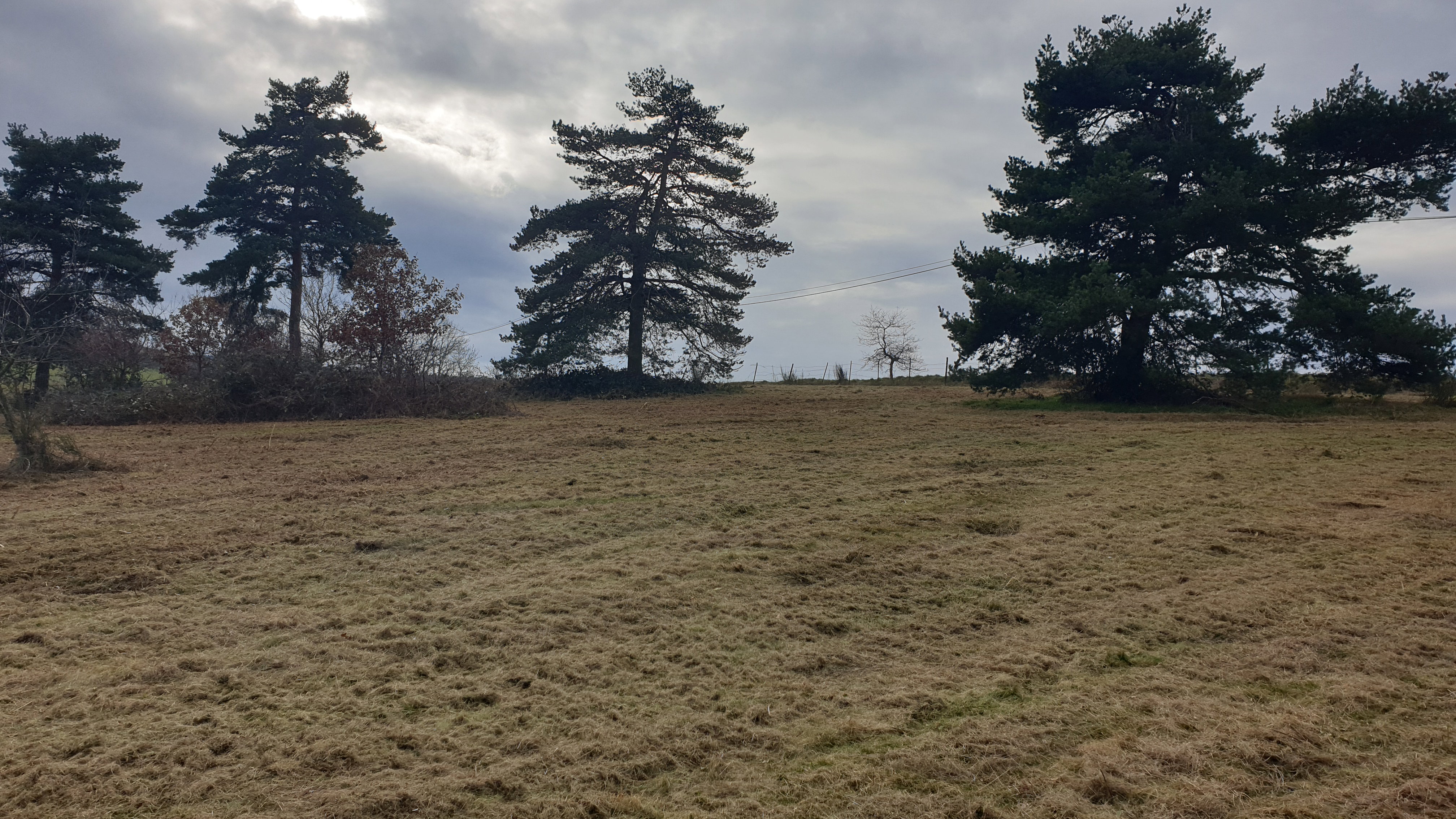 Plot 1 after
