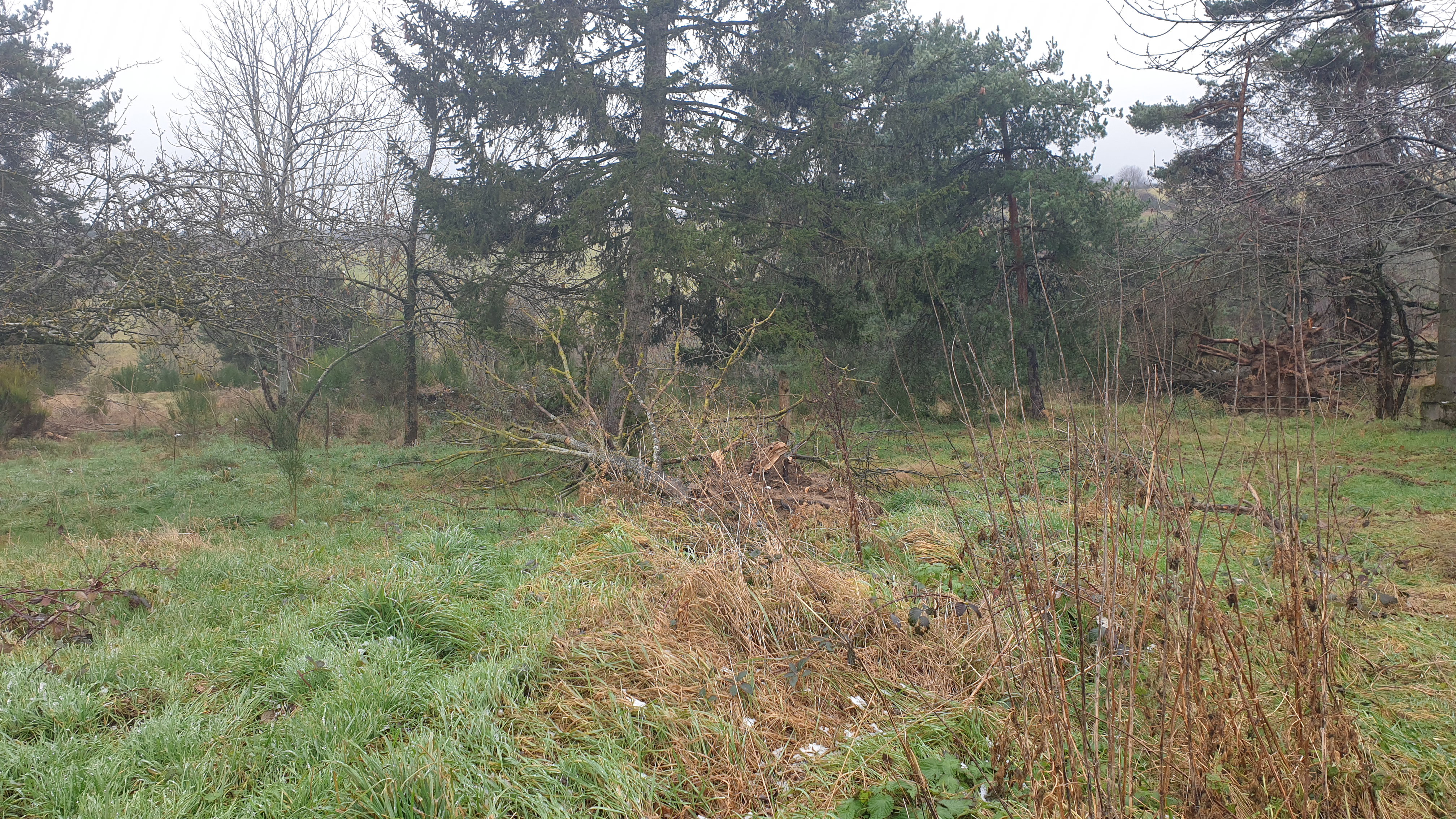 Plot 1 before
