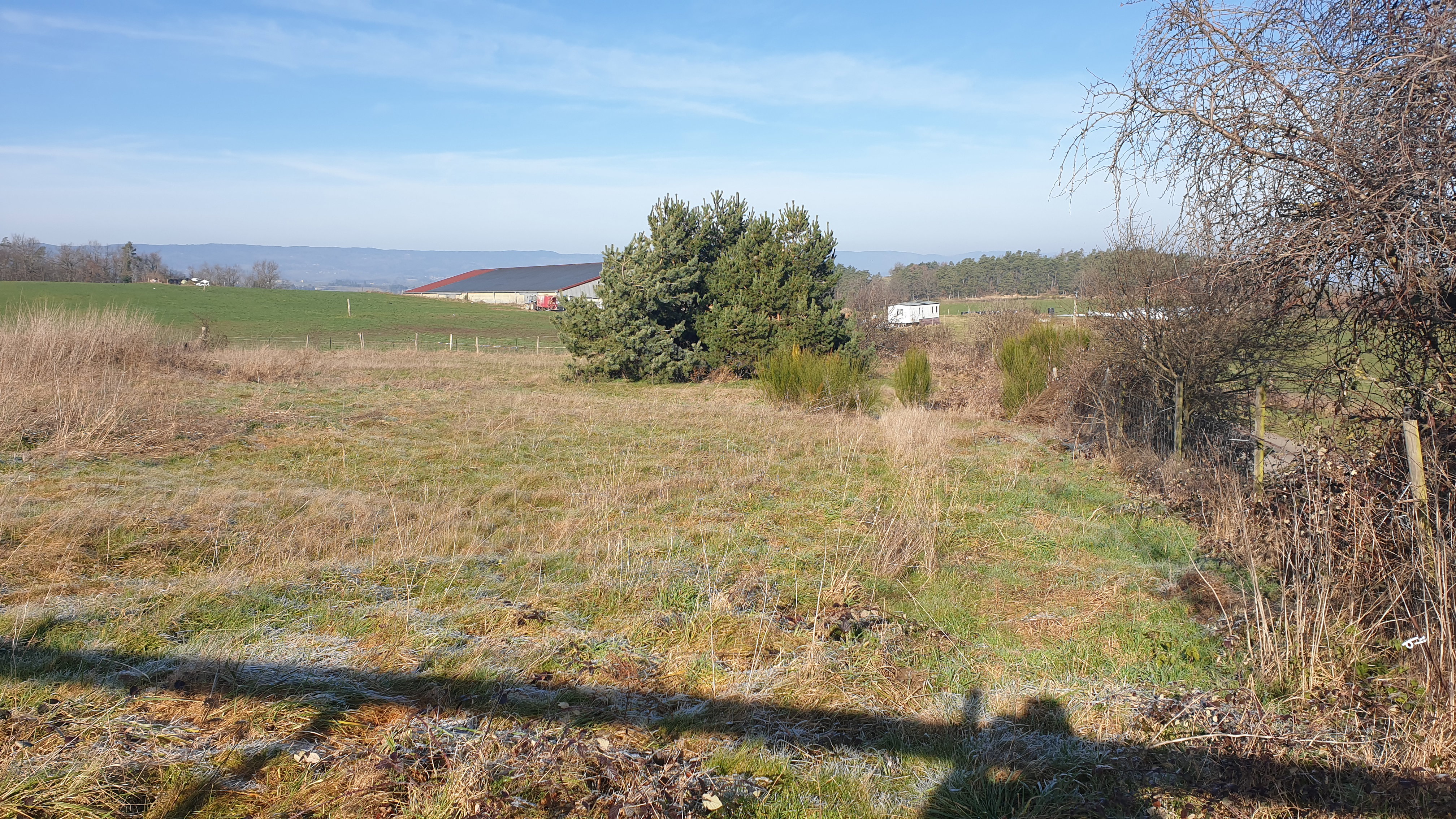 Plot 2 before