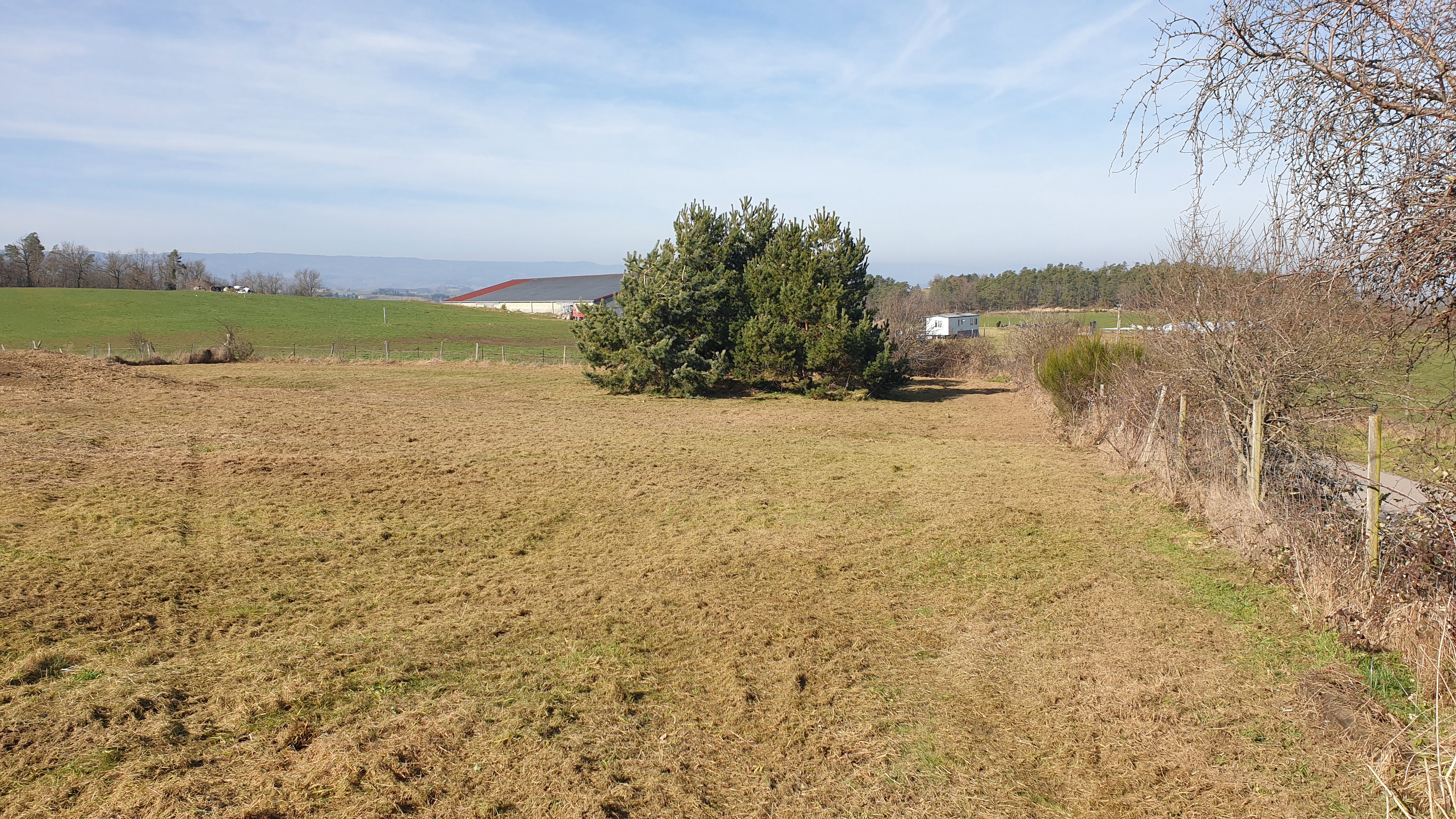 Plot 2 after