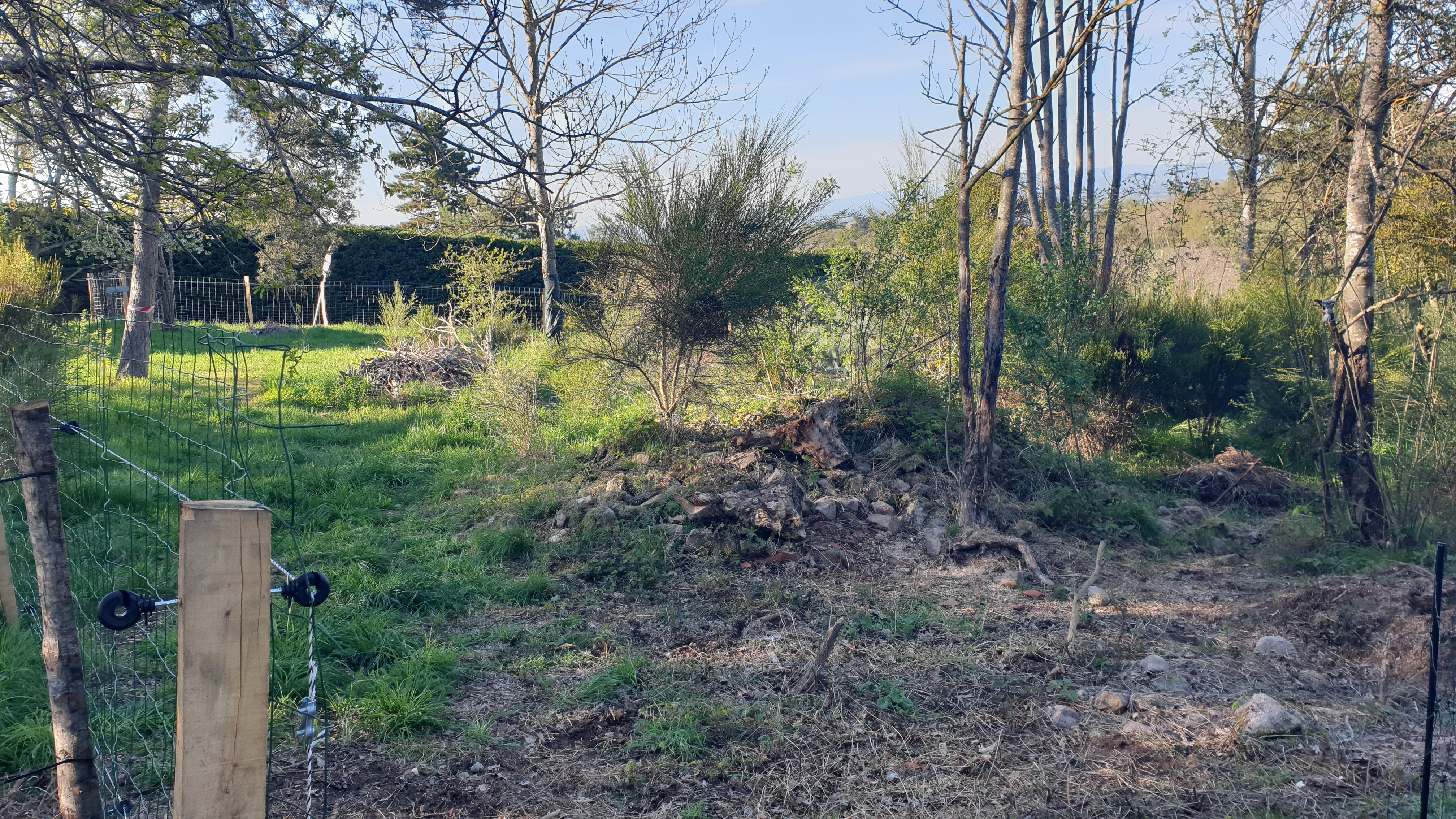 Plot 1 after