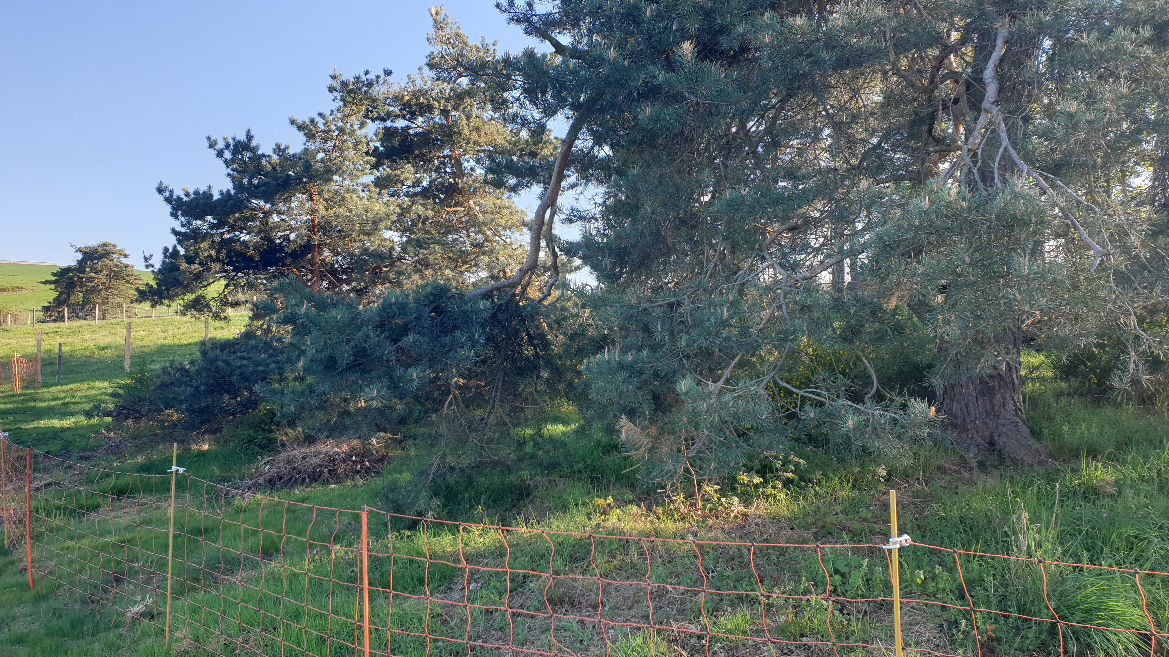 Plot 1 after