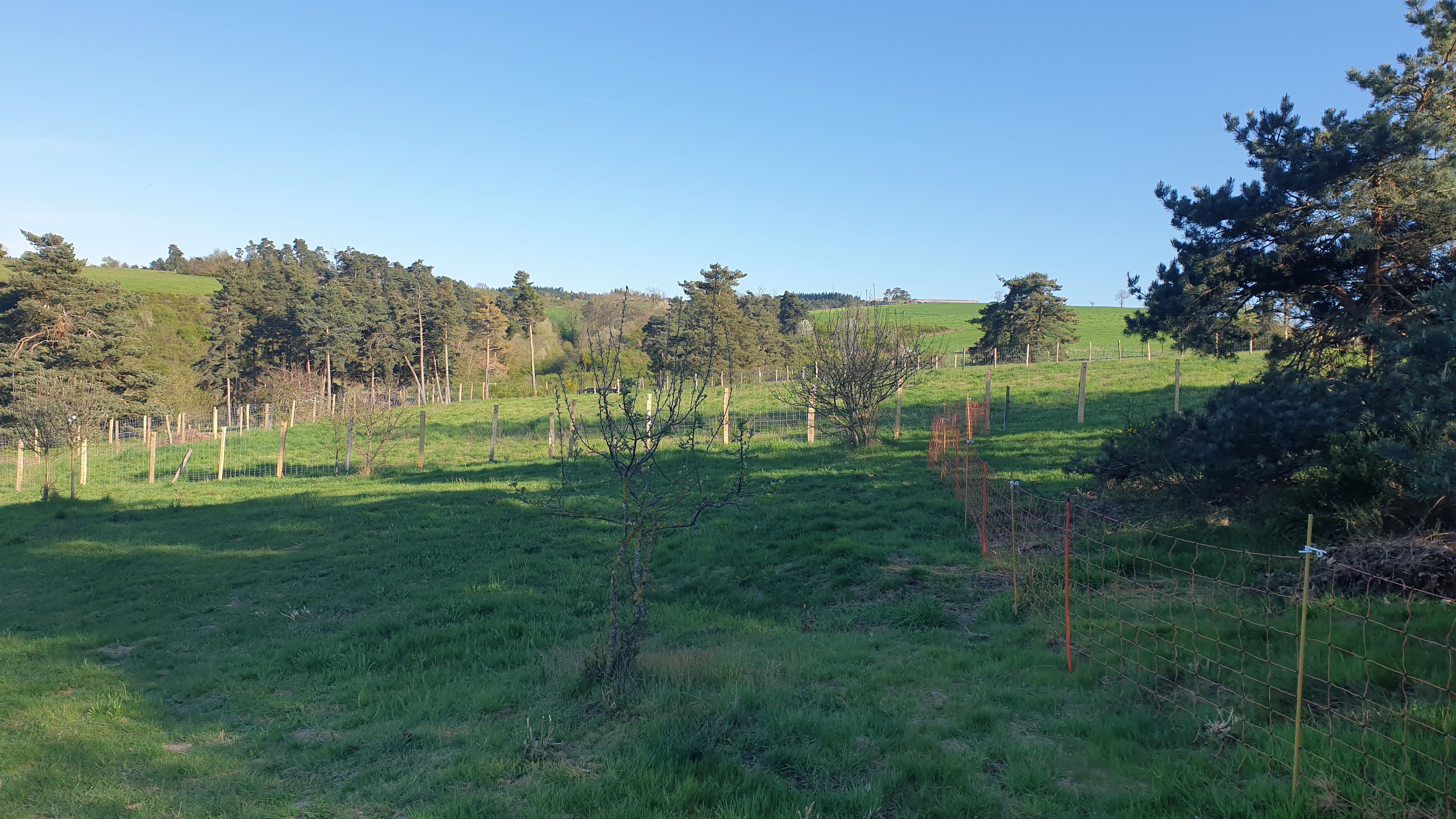 Plot 1 after