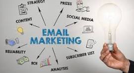 Email marketing expert