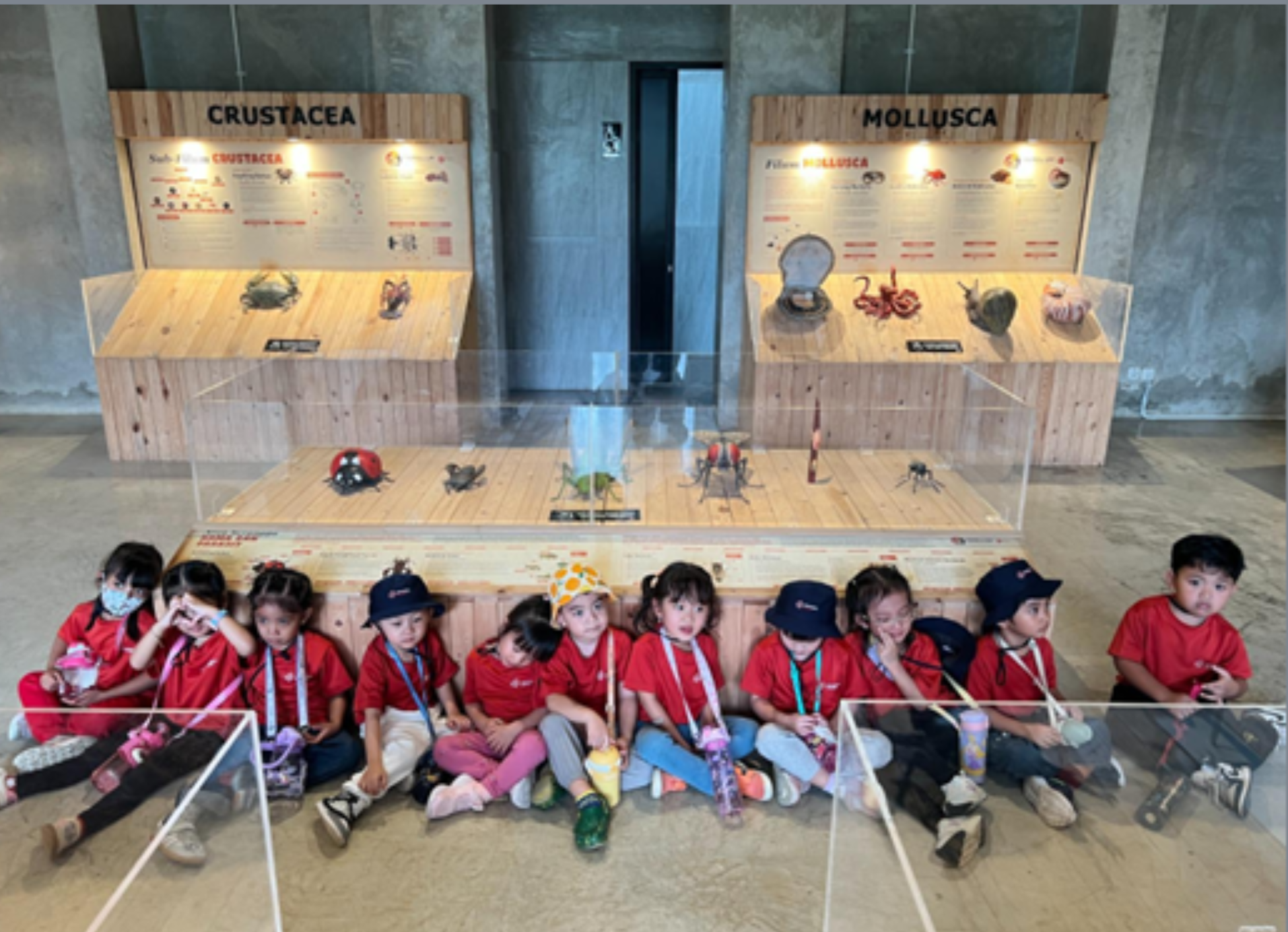 The Brilliant Bug Ball Comes to Life: Pre-K and K1 at Animalium