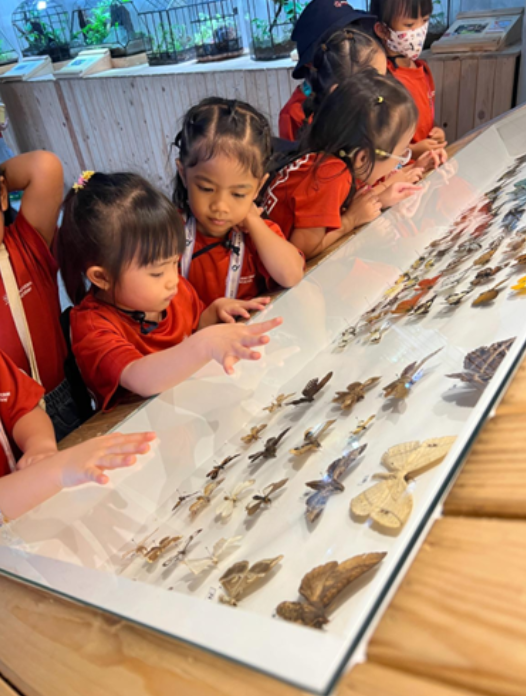 The Brilliant Bug Ball Comes to Life: Pre-K and K1 at Animalium