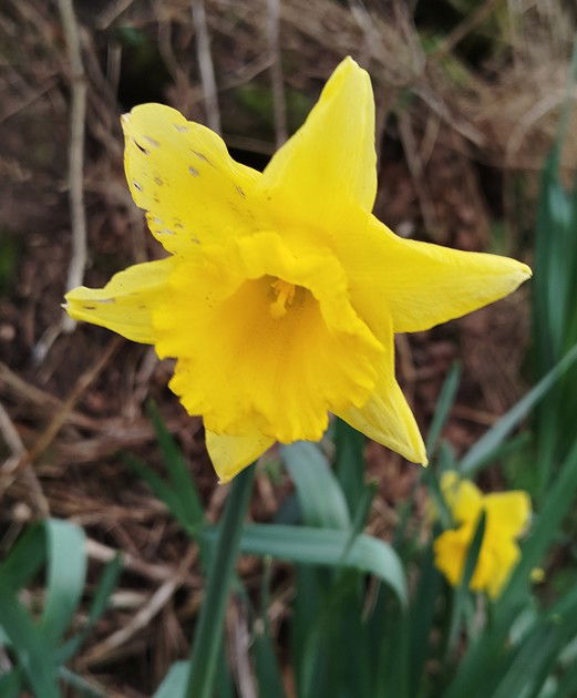 Introduction to Self Care Abilities- online -Apr'25