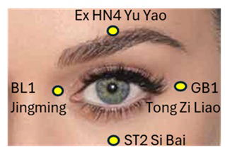 Weekly Eyecare Practice  2025