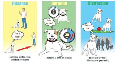Duration, Distance, and ​Distraction: The 3 Pillars of Obedience