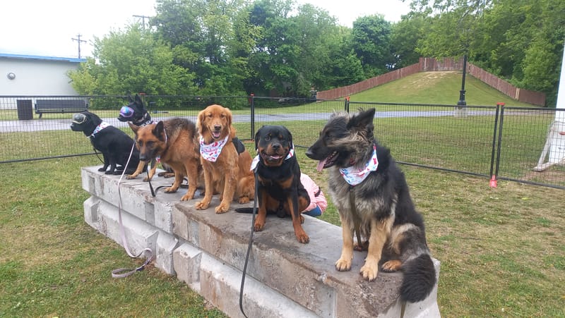 Group Training Classes