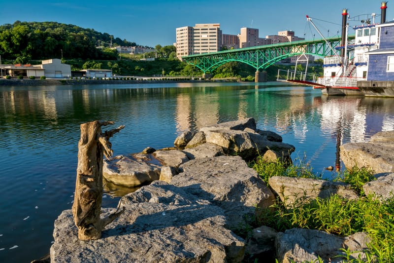 TENNESSEE LIFE INSURANCE