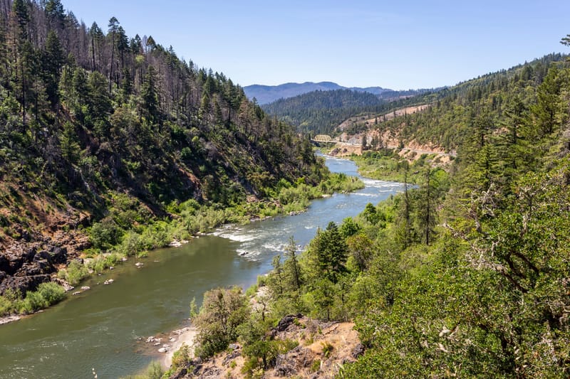 OREGON LIFE INSURANCE