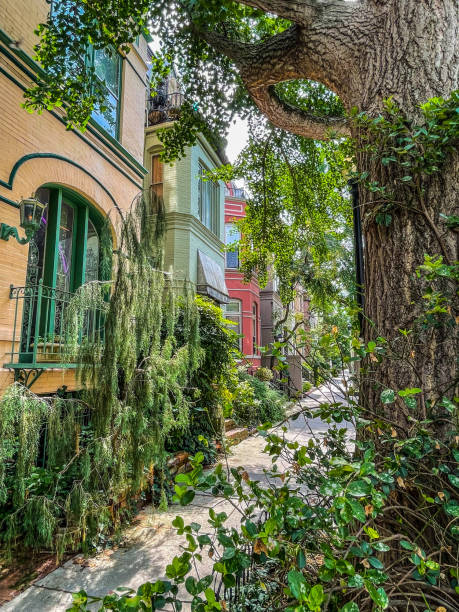 Life insurance for Dupont Circle DC residents — protecting young professionals and families