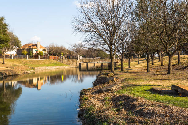 Life insurance for Plano Texas high-income professionals and families