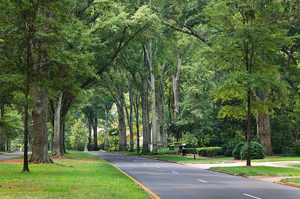 Life insurance for Charlotte North Carolina financial professionals and families
