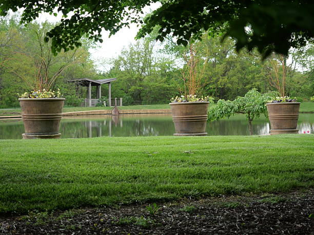 Life insurance for Overland Park Kansas corporate professionals and suburban families