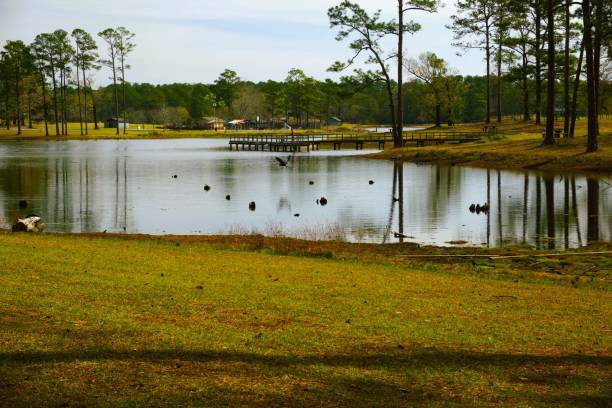 Life insurance for Hattiesburg Mississippi university community and families