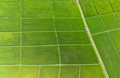 MANEJO SUSTENTABLE DE SUELOS PARA SISTEMAS PRODUCTIVOS EN LA PARROQUIA PAPELÓN DEL ESTADO PORTUGUESA