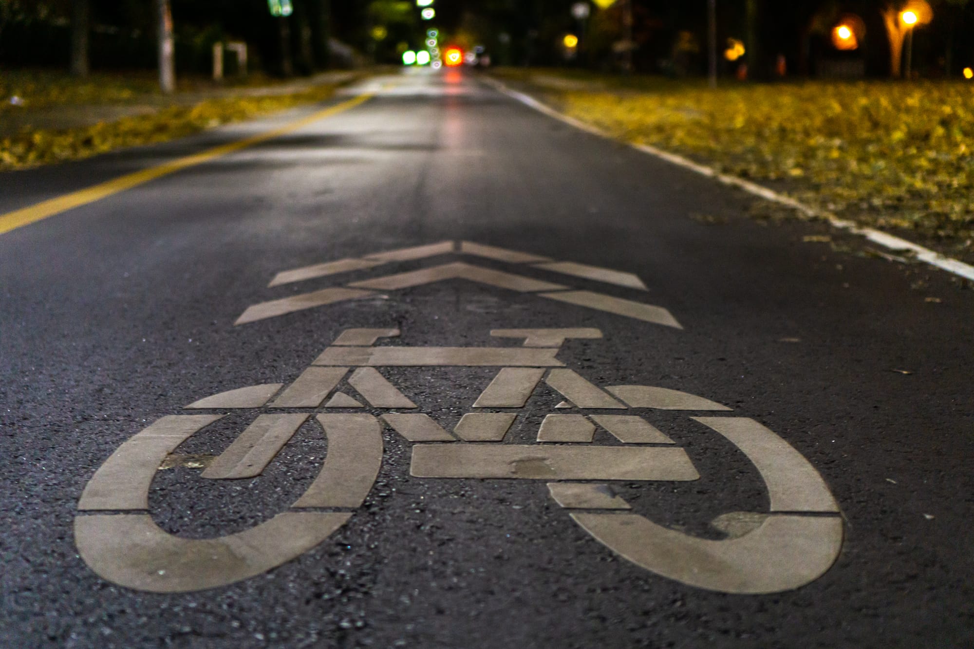 Ford government moves to bar lawsuits over injured, killed cyclists after bike lane removals