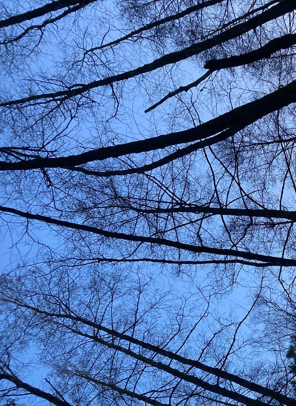 La Traversée