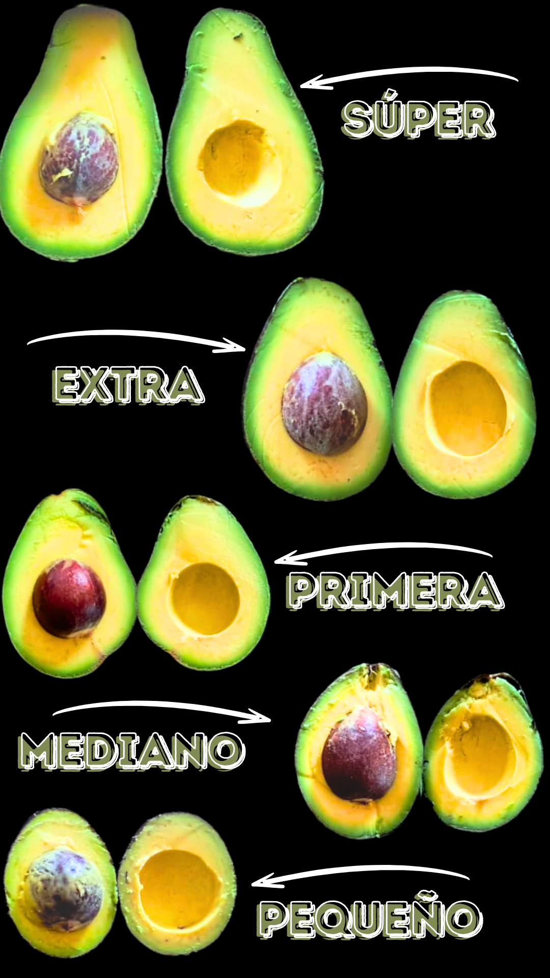 tamaños aguacate
