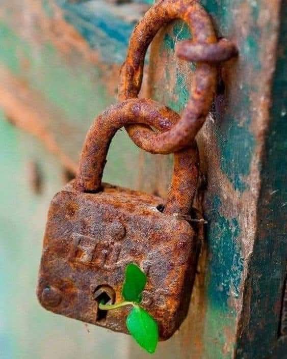 תרפיית שלושת הממדים