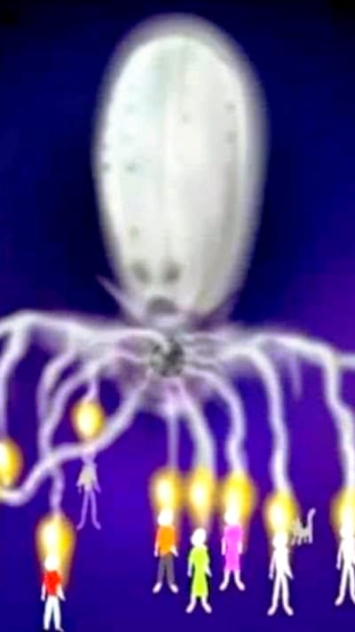 טפילים אנרגטיים והשפעתם האפשרית על חוסר איזון גופני