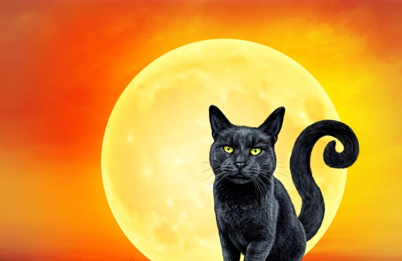 ניקוי אנרגטי עמוק הסרת מאגיה שחורה