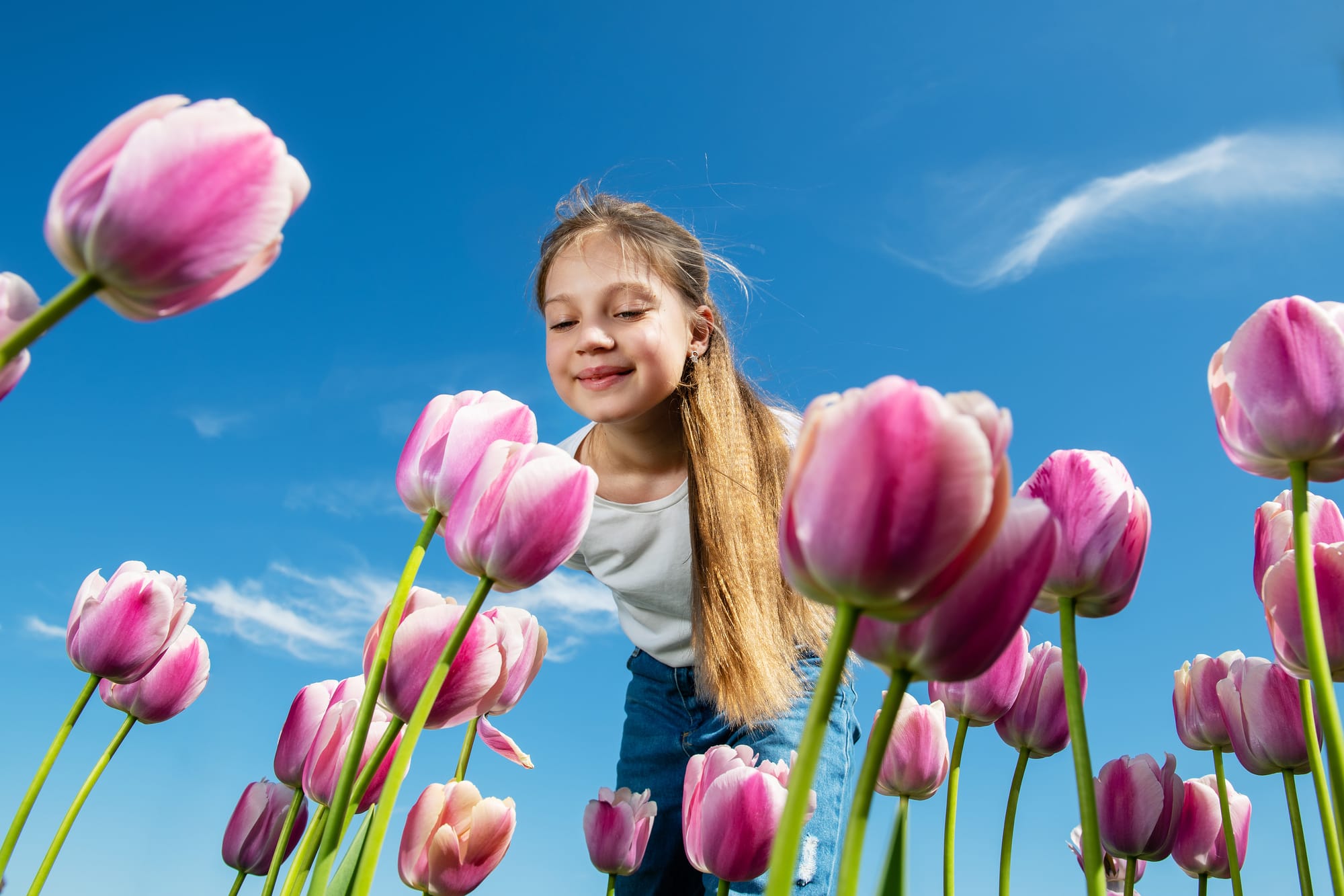 Kinder und Biokommunikationstherapie