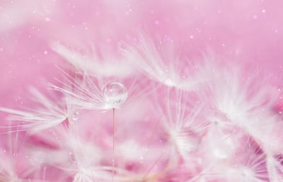 Understanding Your Biocommunication Therapy