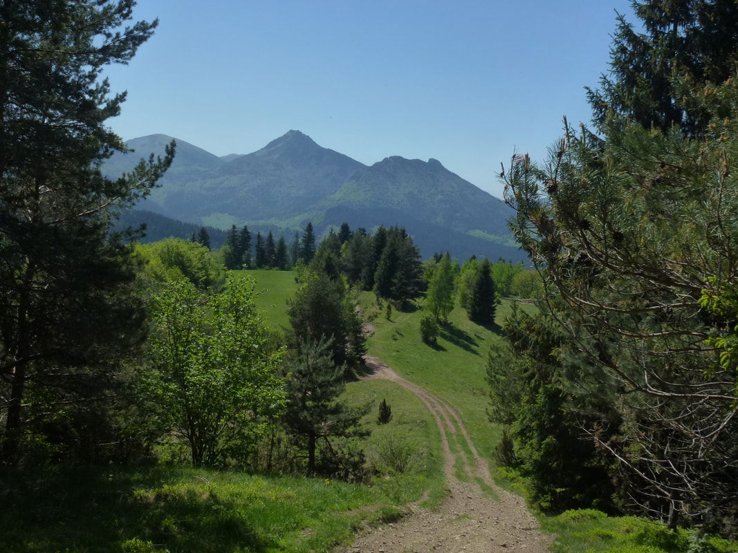 Relacje z 2017 - 2019