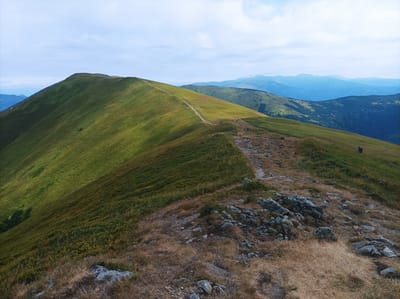 Relacje z 2020 - 2022