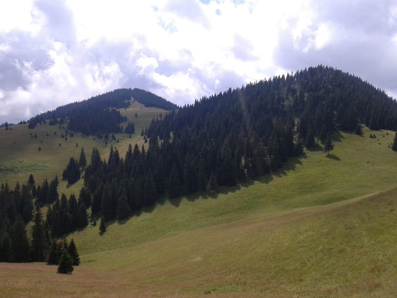 Relacje z 2013 - 2016