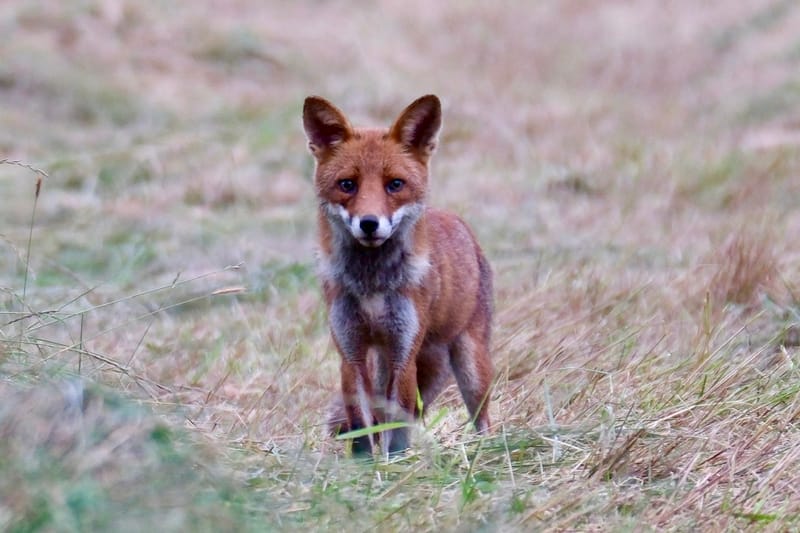 Rencontres matinales