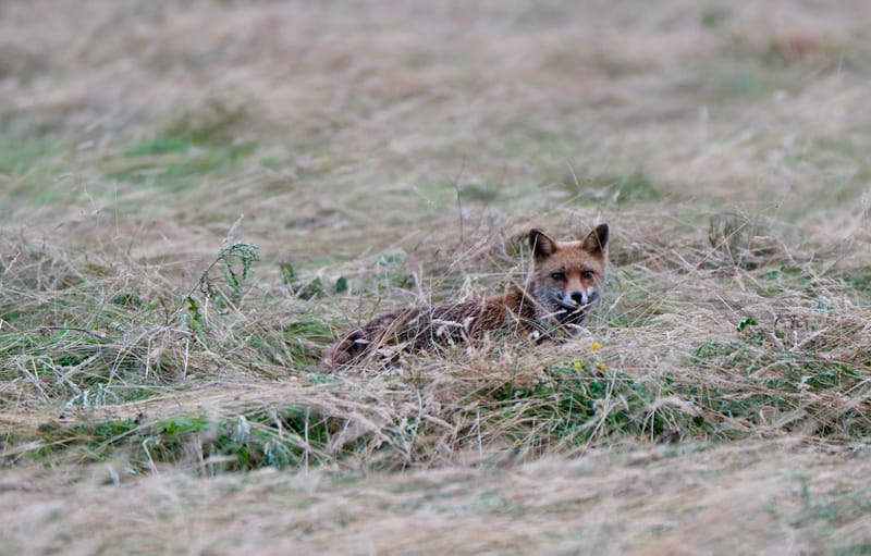 Rencontres matinales