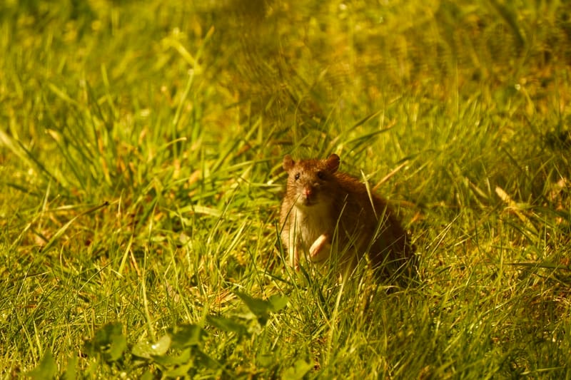 Rencontres matinales