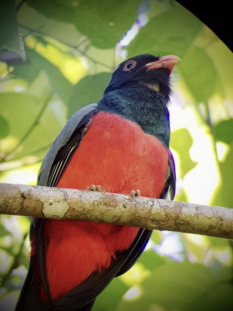 Costa Rica