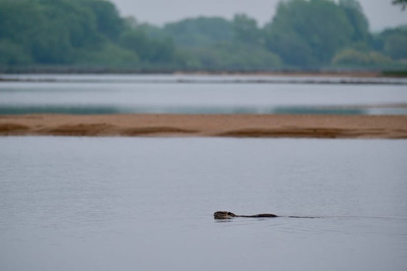 Rencontres matinales