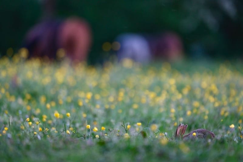 Rencontres matinales