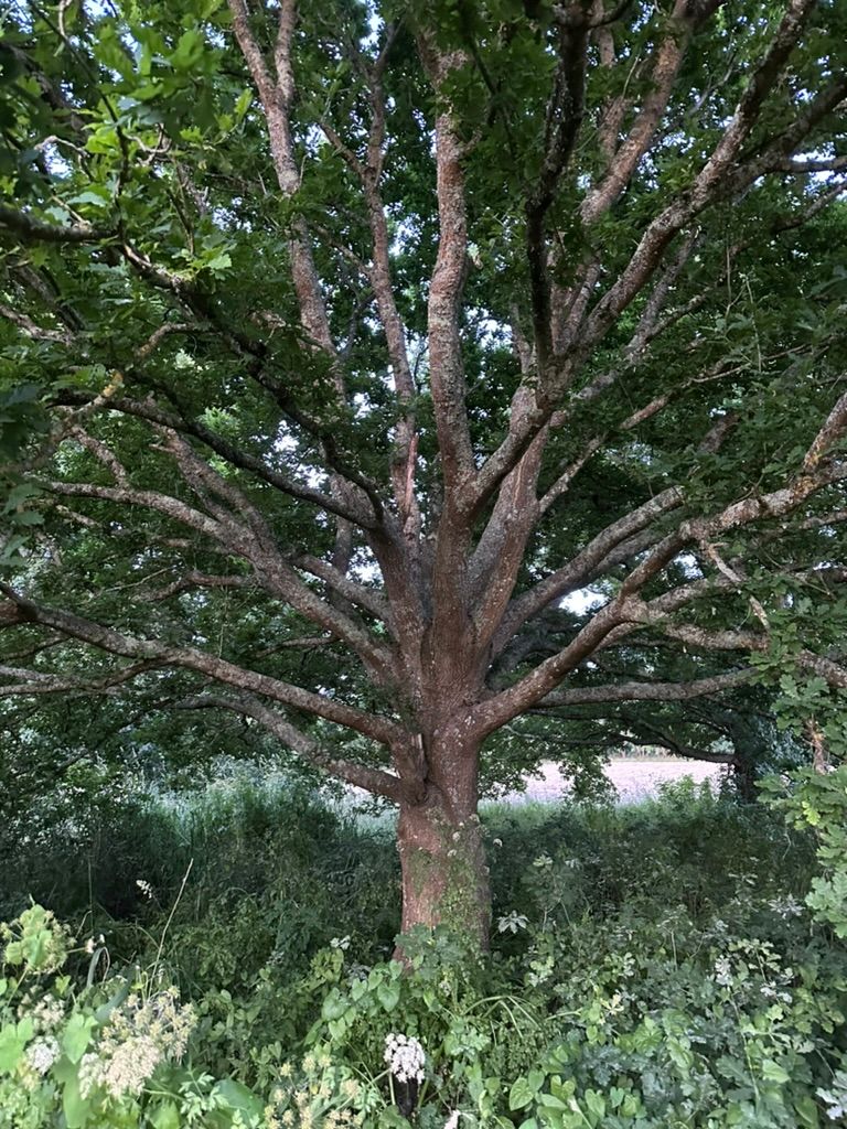 Notre ville Sainte Luce sur Loire