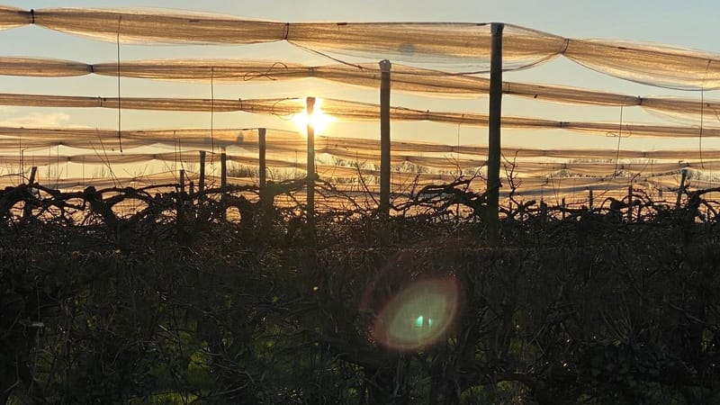 Notre ville Sainte Luce sur Loire