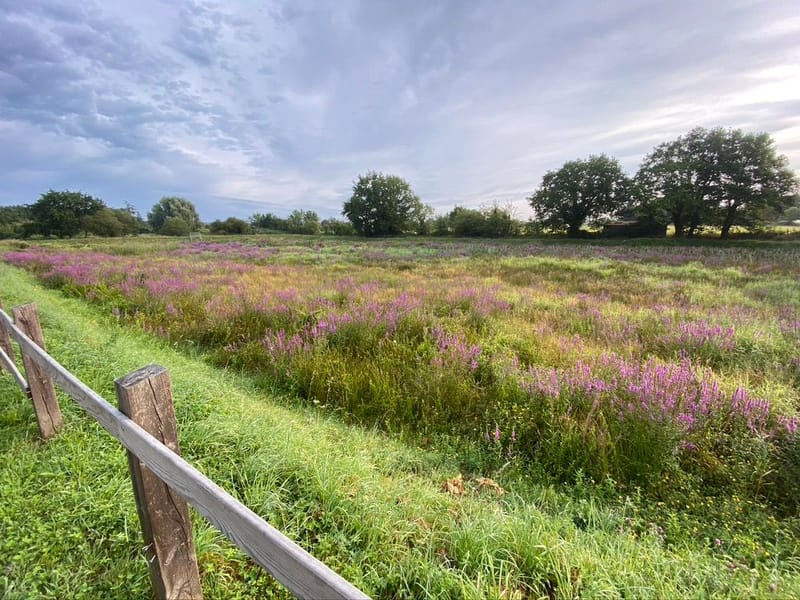 Notre ville Sainte Luce sur Loire