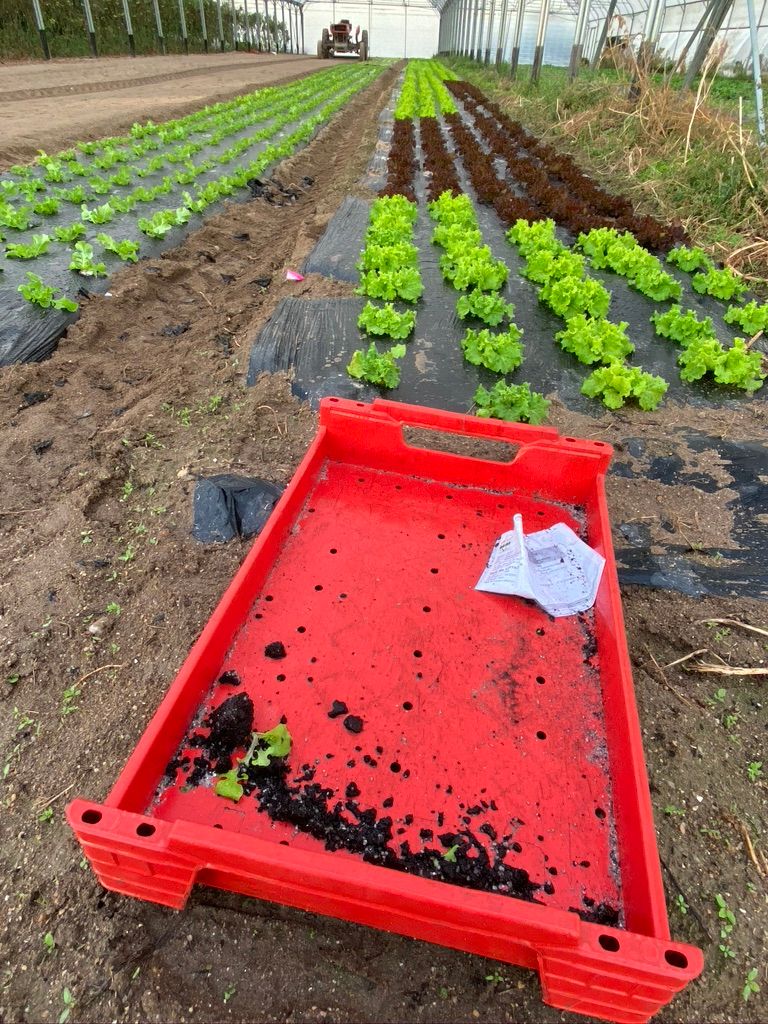 Notre ville Sainte Luce sur Loire