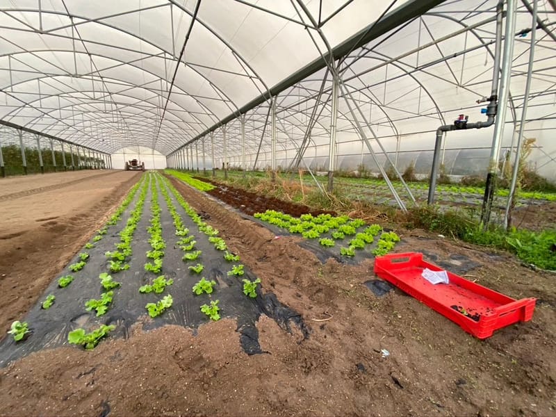 Notre ville Sainte Luce sur Loire