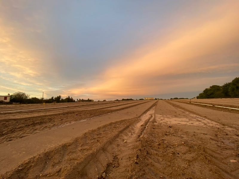 Notre ville Sainte Luce sur Loire