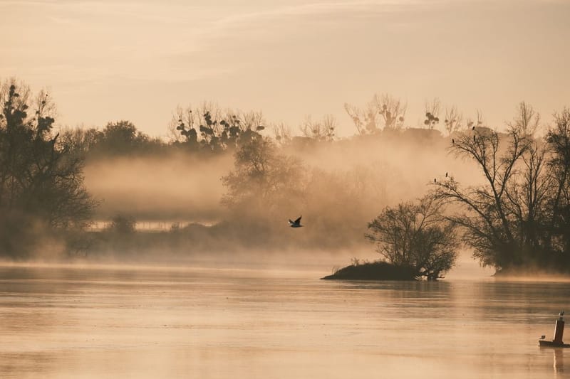 Notre ville Sainte Luce sur Loire